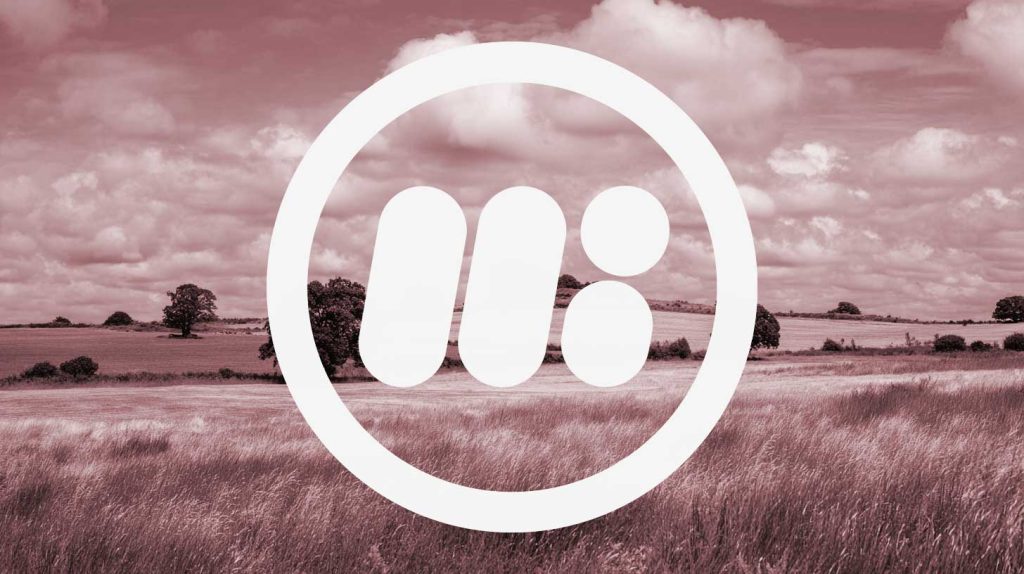 July 2025 Digital Round-up for Third Sector
